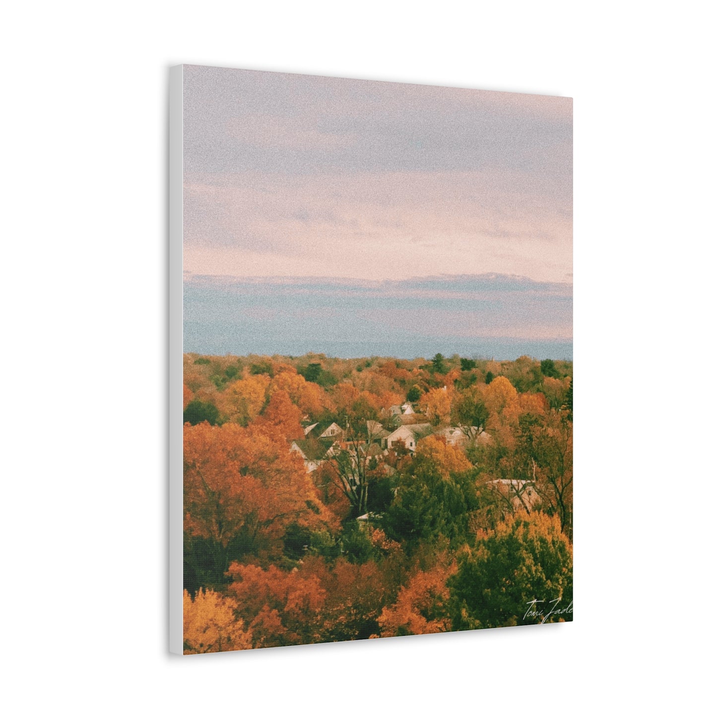 Maryland Neighborhood - Canvas Gallery Wraps