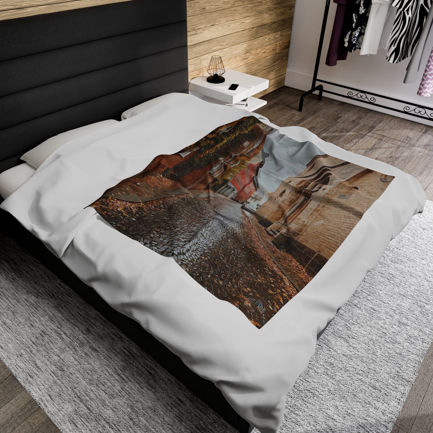 Diverse Buildings of Germany - Velveteen Plush Blanket