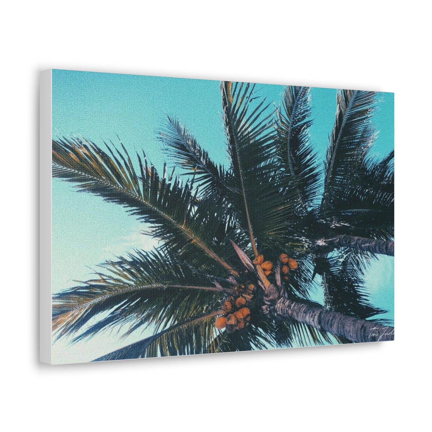 Tropic - Canvas Gallery Wraps