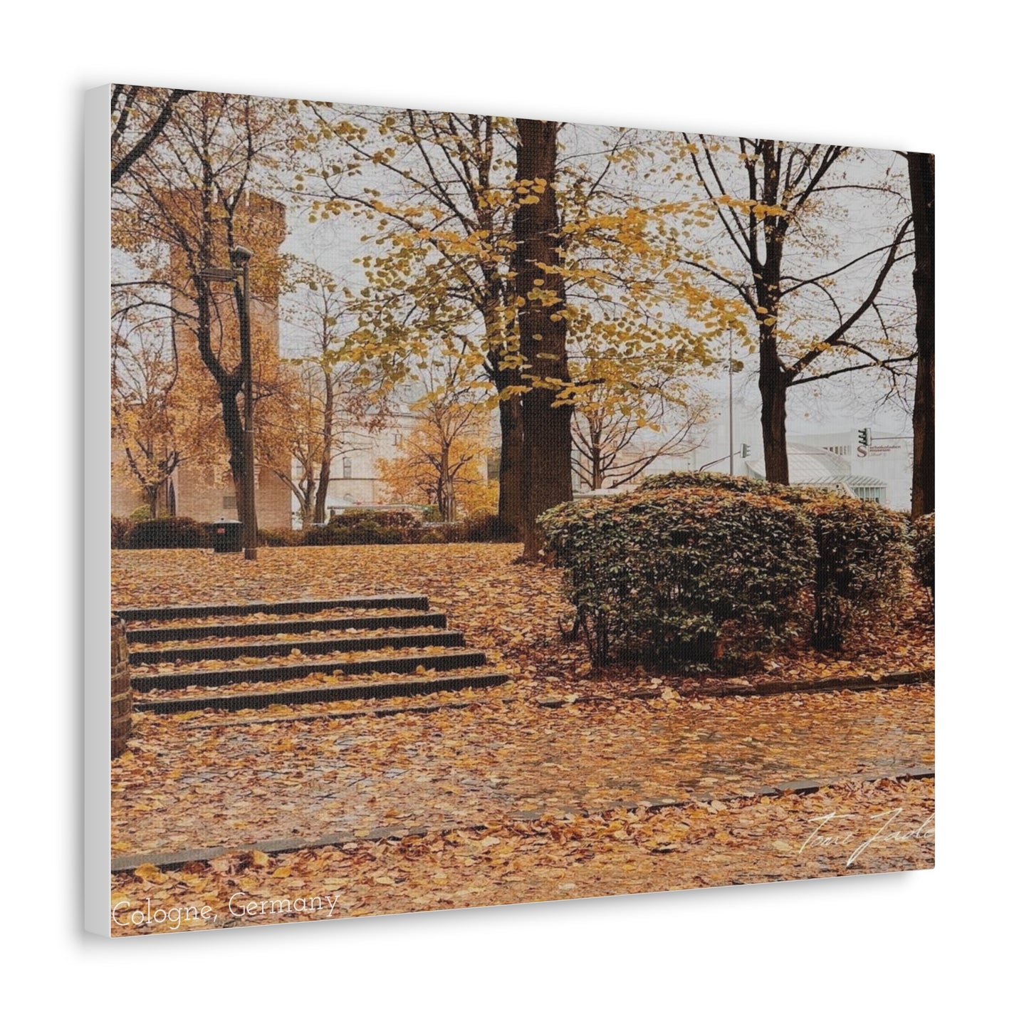 Fall in Germany-Canvas Gallery Wraps