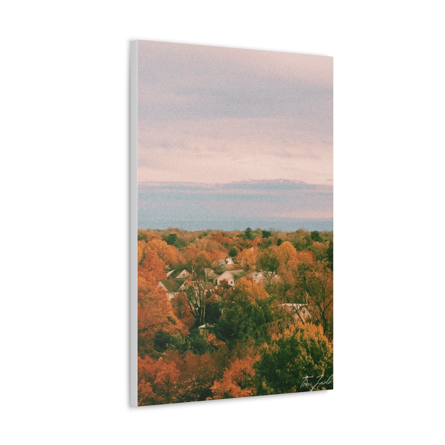 Maryland Neighborhood - Canvas Gallery Wraps