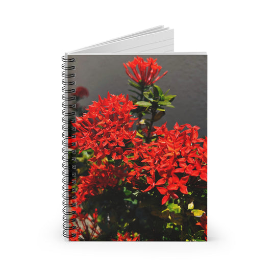 Rubia - Spiral Notebook Ruled Line