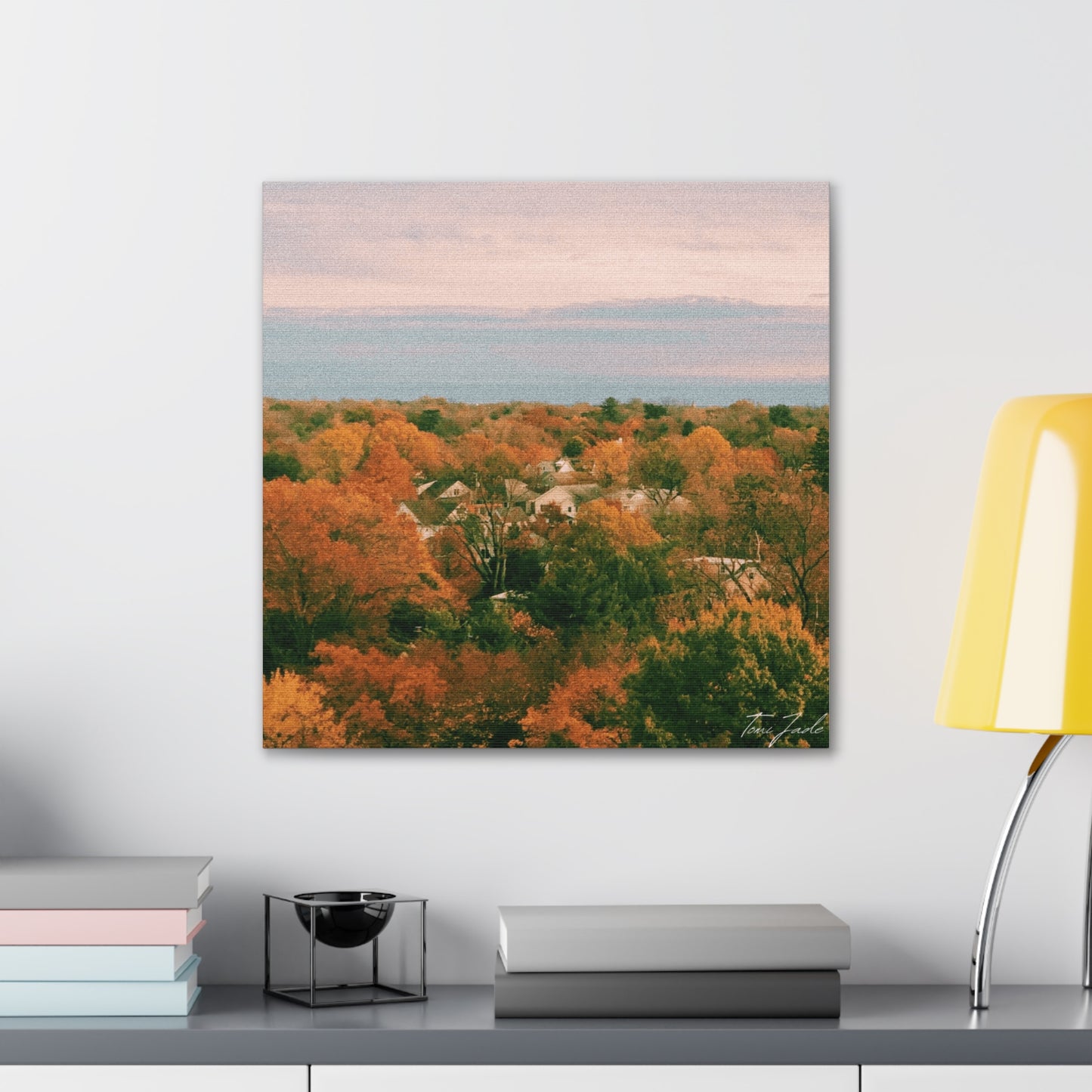 Maryland Neighborhood - Canvas Gallery Wraps