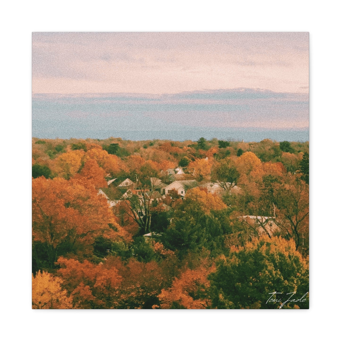 Maryland Neighborhood - Canvas Gallery Wraps