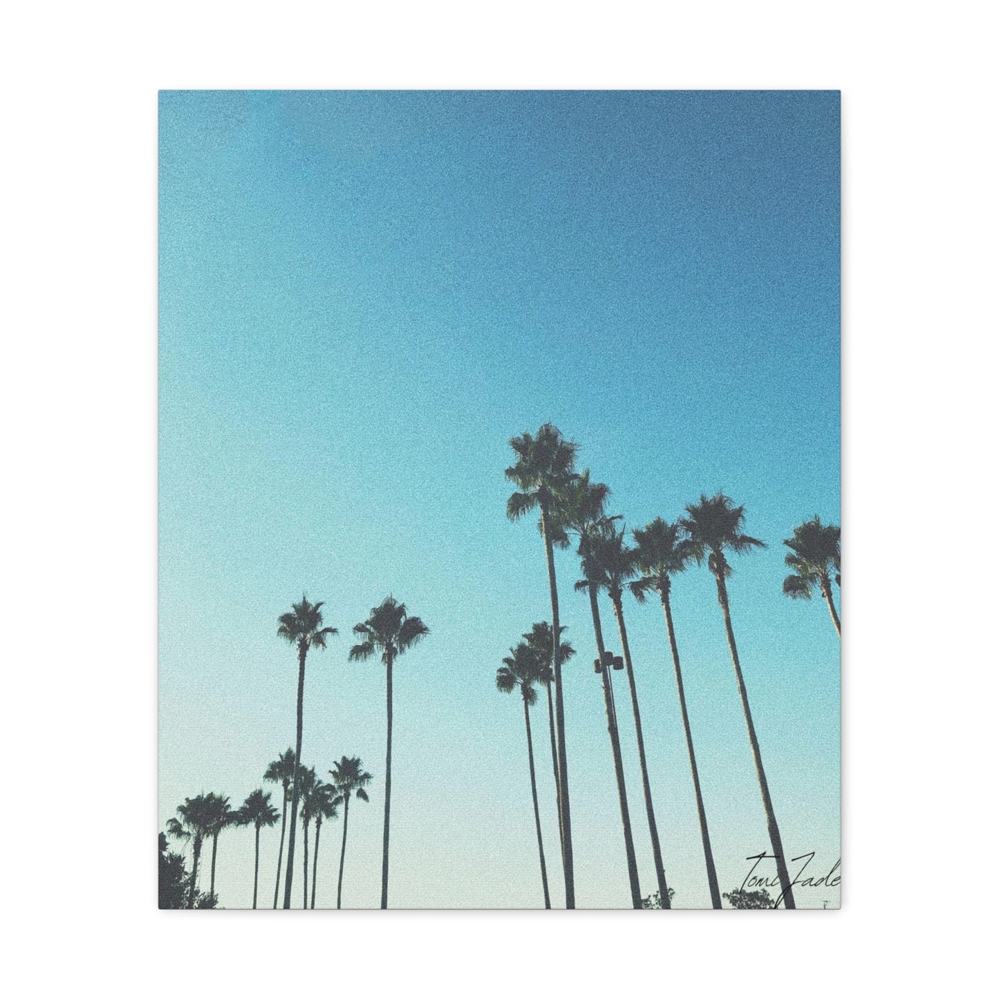 Palm Paradise - Canvas Gallery Wraps