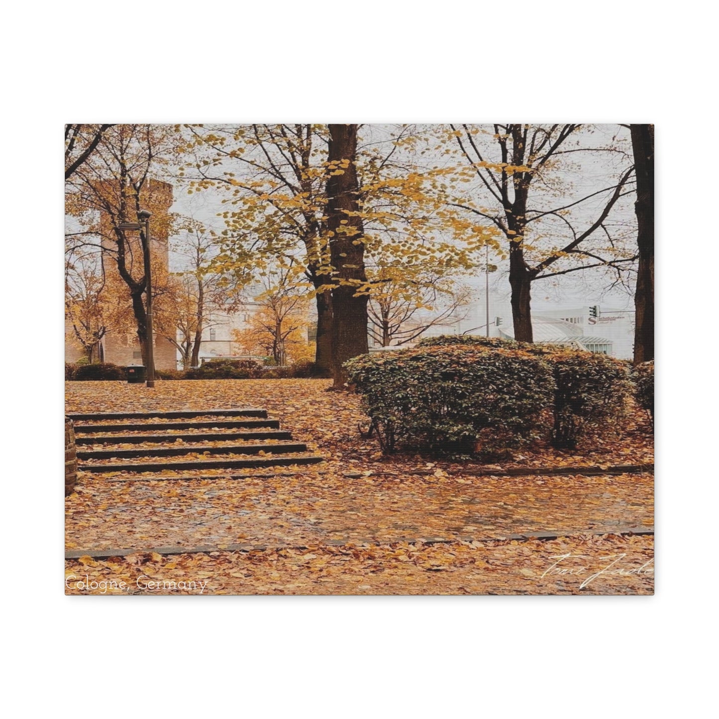 Fall in Germany-Canvas Gallery Wraps