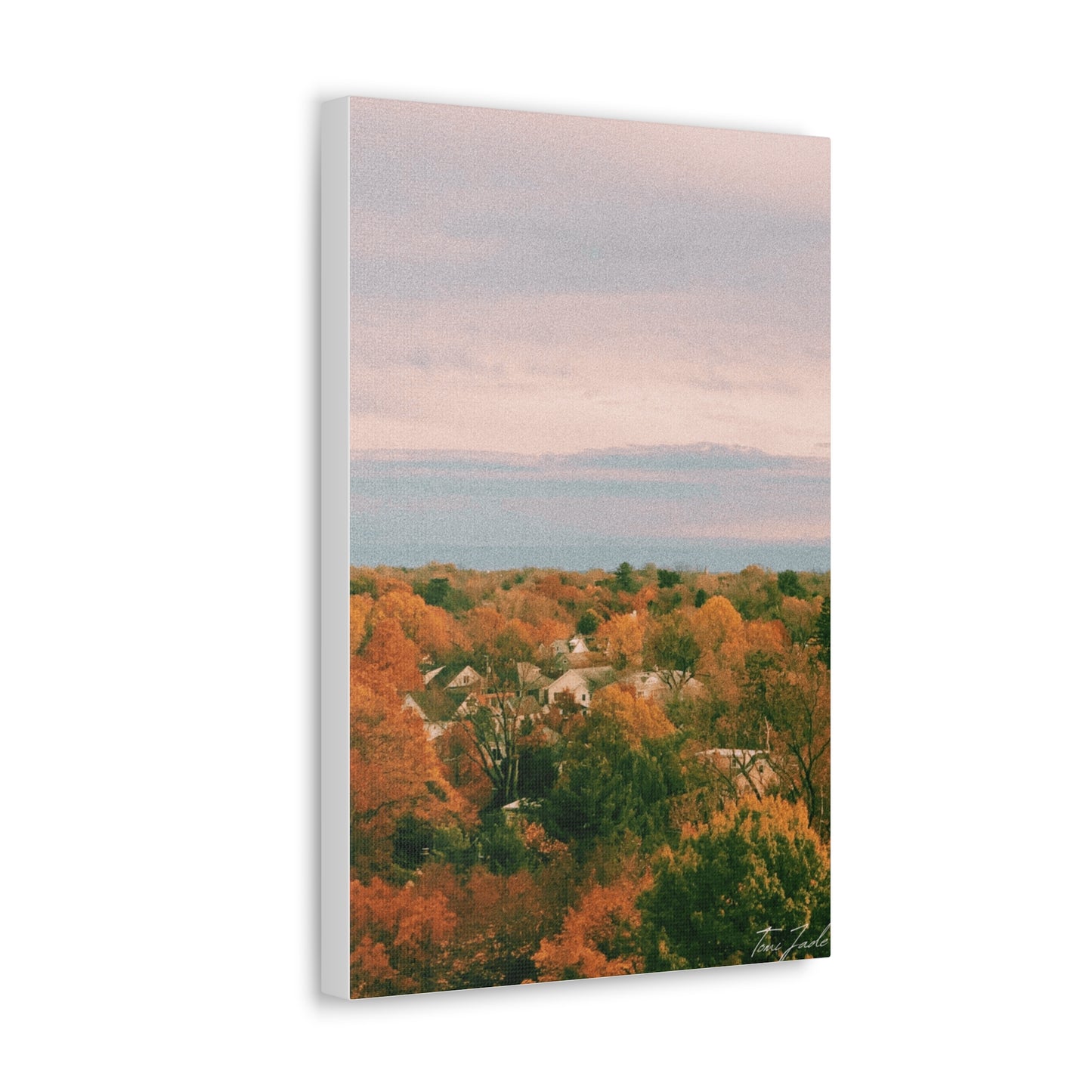 Maryland Neighborhood - Canvas Gallery Wraps
