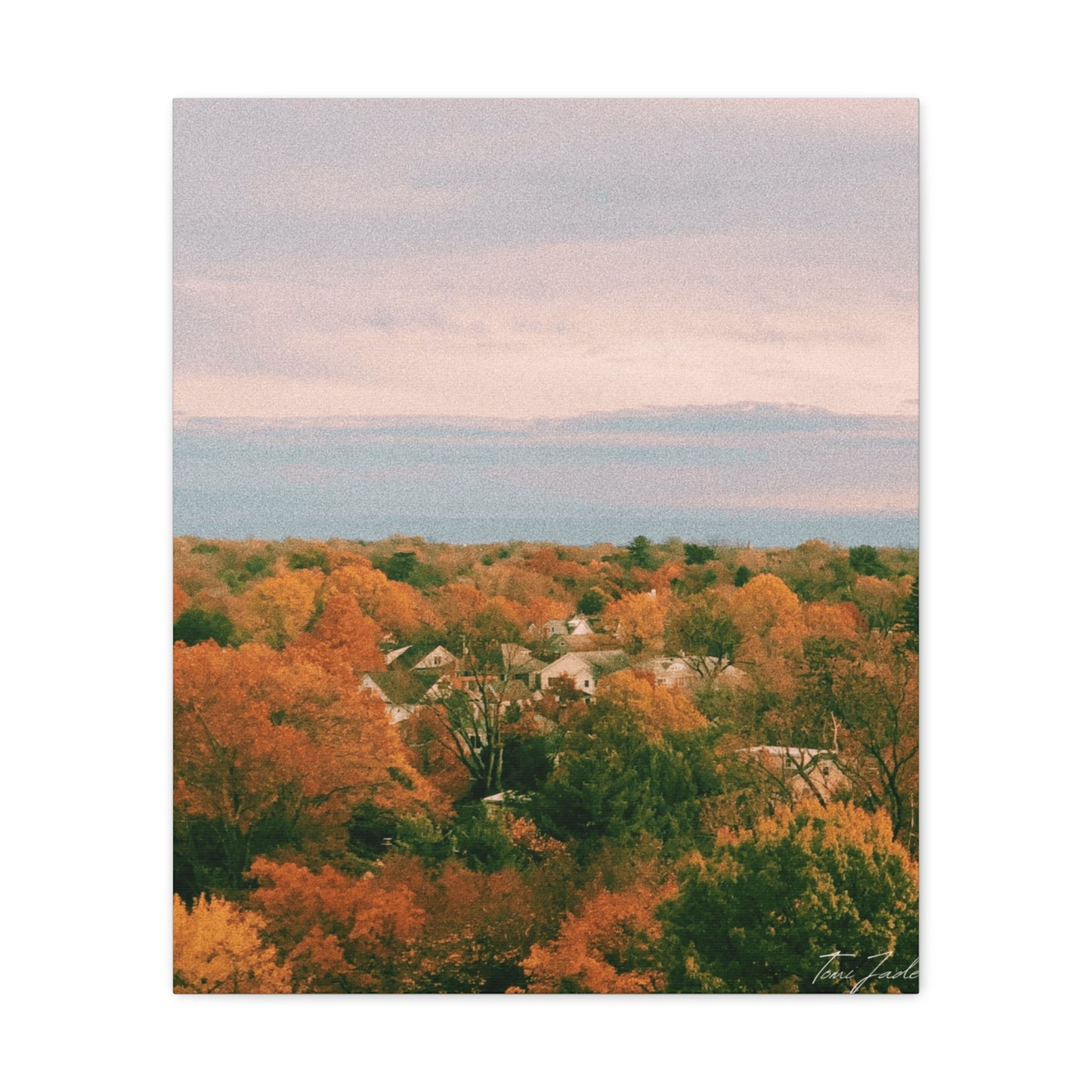 Maryland Neighborhood - Canvas Gallery Wraps