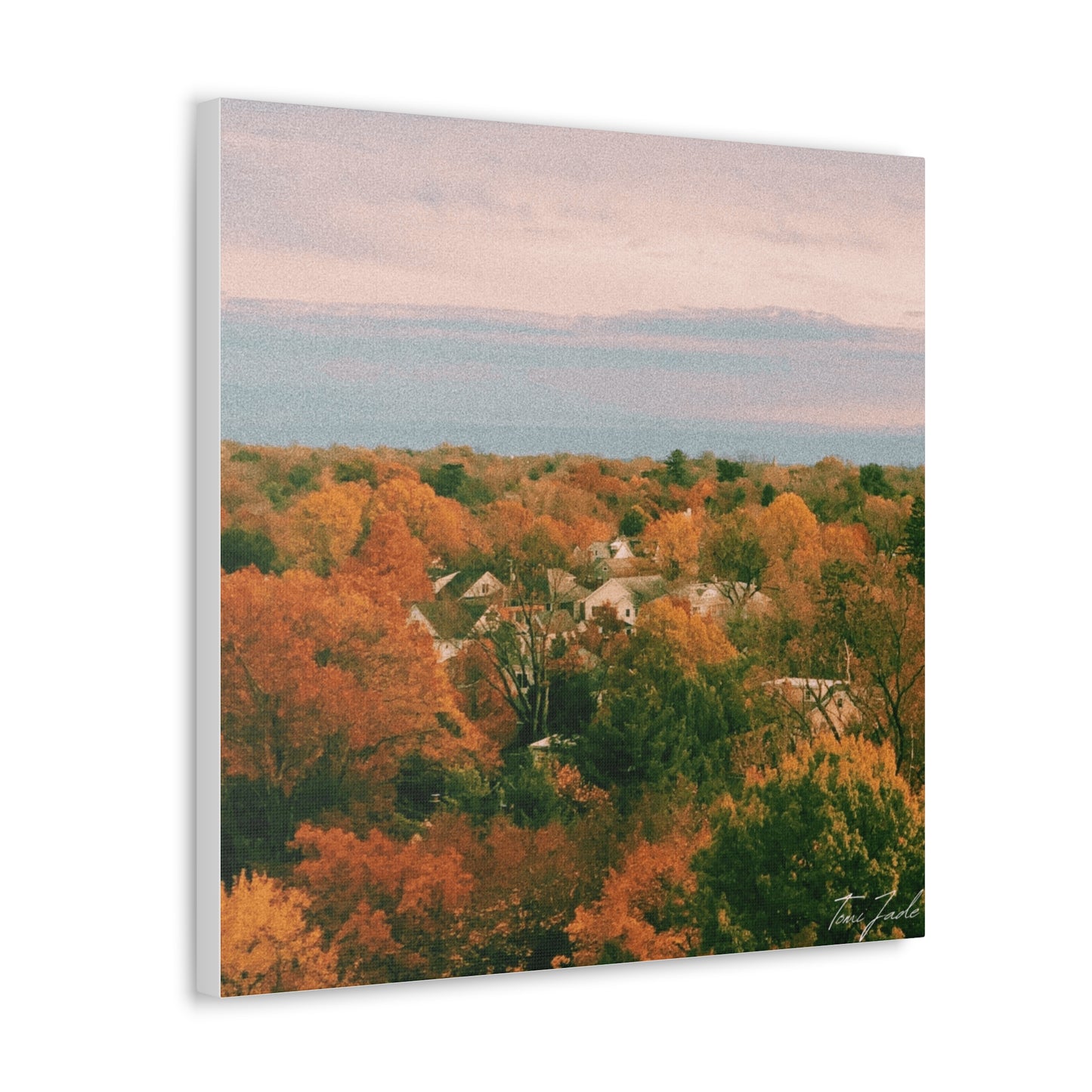 Maryland Neighborhood - Canvas Gallery Wraps