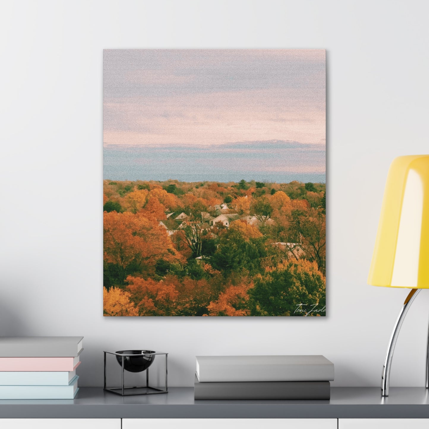Maryland Neighborhood - Canvas Gallery Wraps