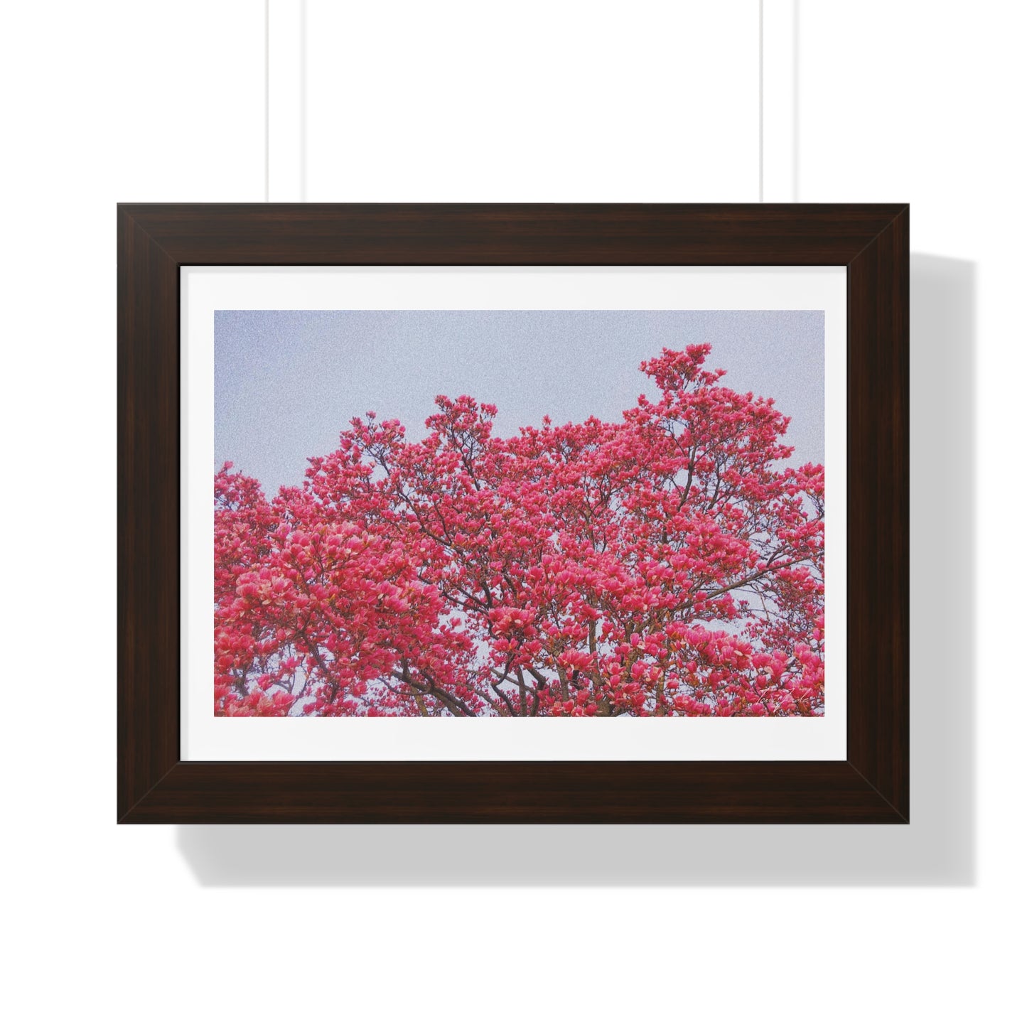 Blooming Pink - Framed Horizontal Poster