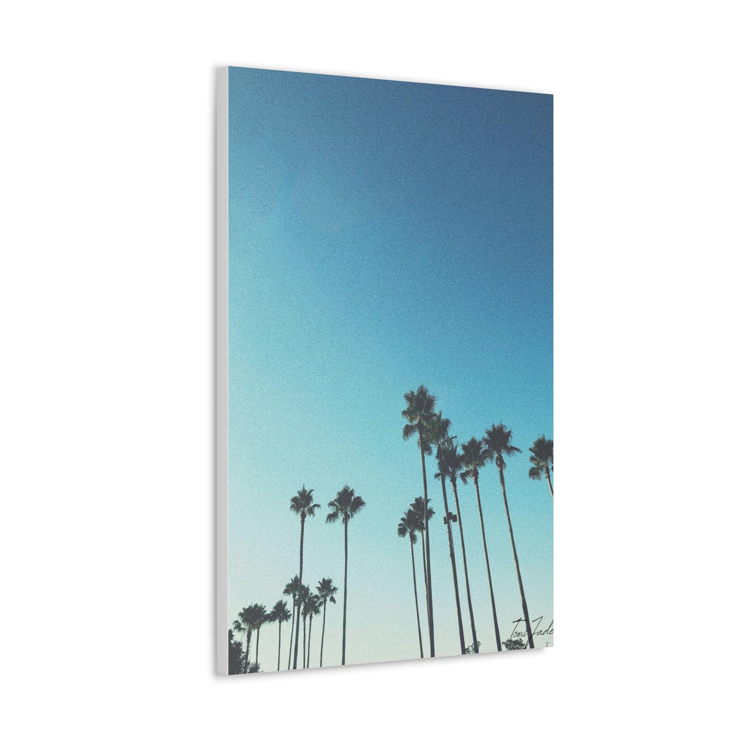 Palm Paradise - Canvas Gallery Wraps