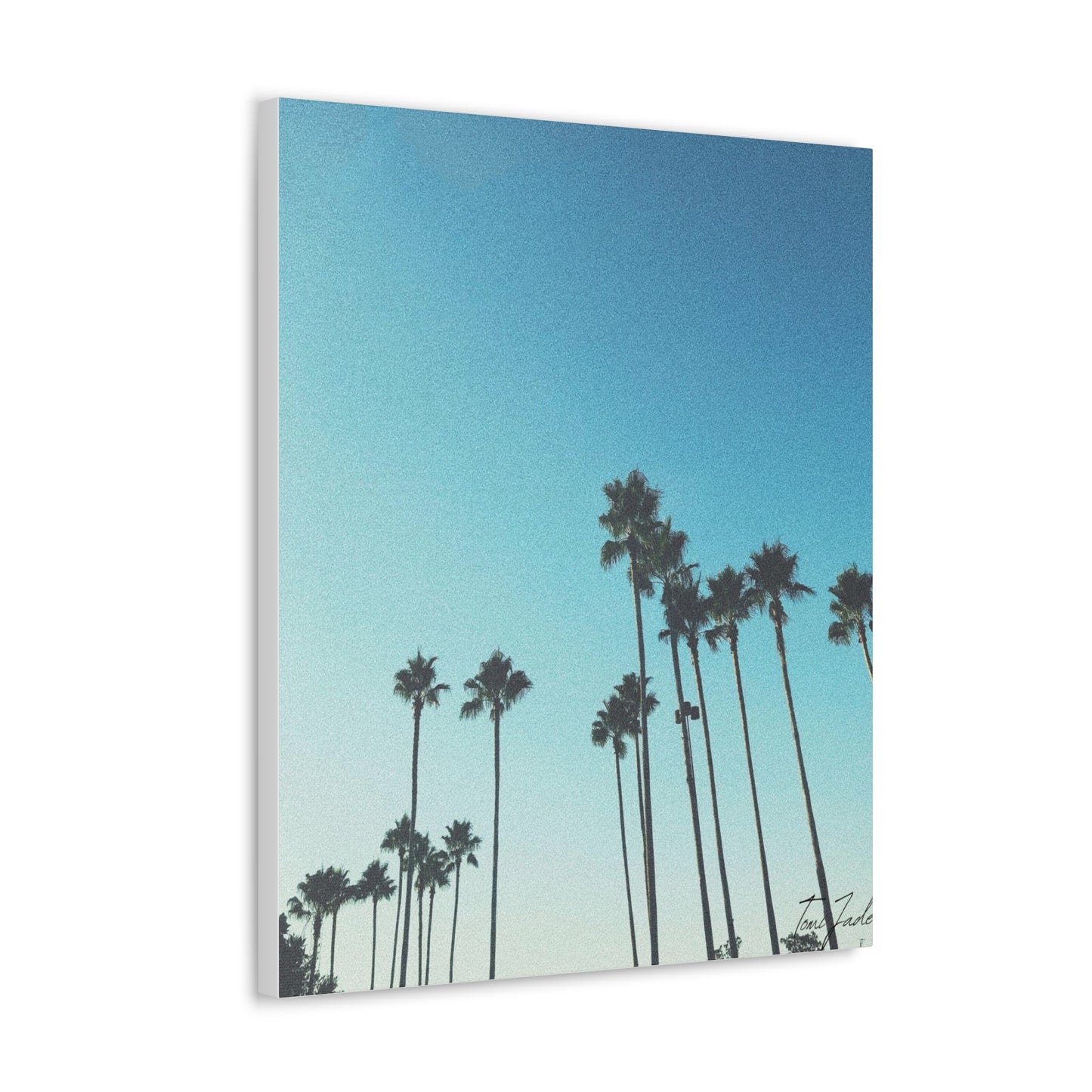 Palm Paradise - Canvas Gallery Wraps