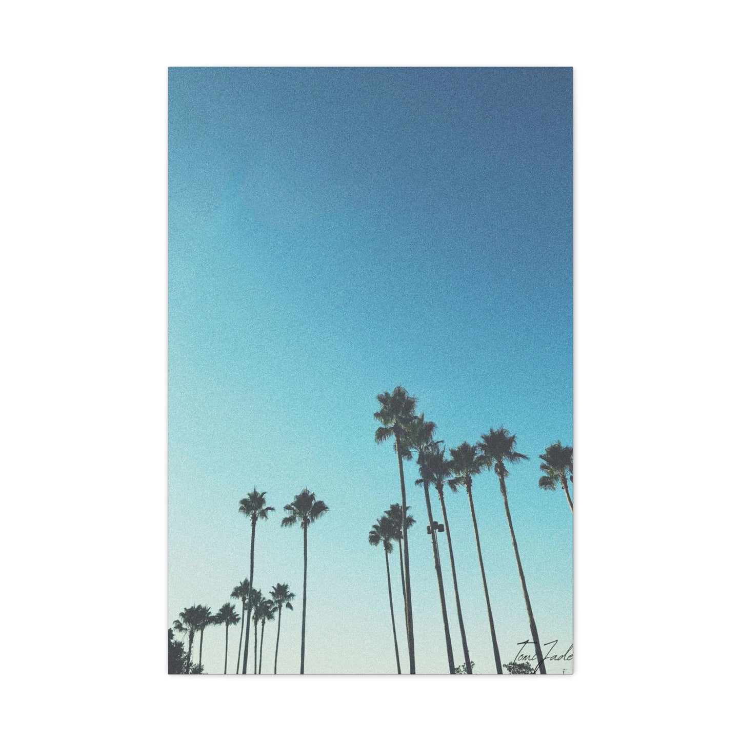 Palm Paradise - Canvas Gallery Wraps
