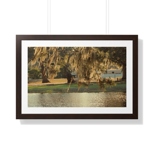 A Golden Park - Framed Horizontal Poster