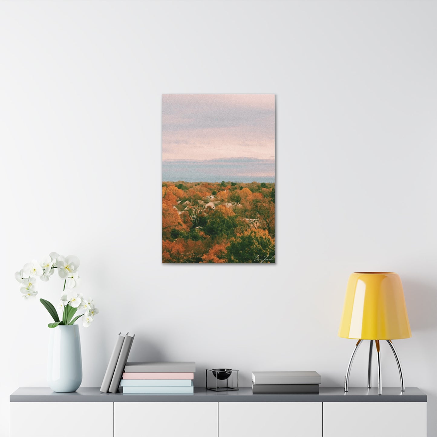 Maryland Neighborhood - Canvas Gallery Wraps