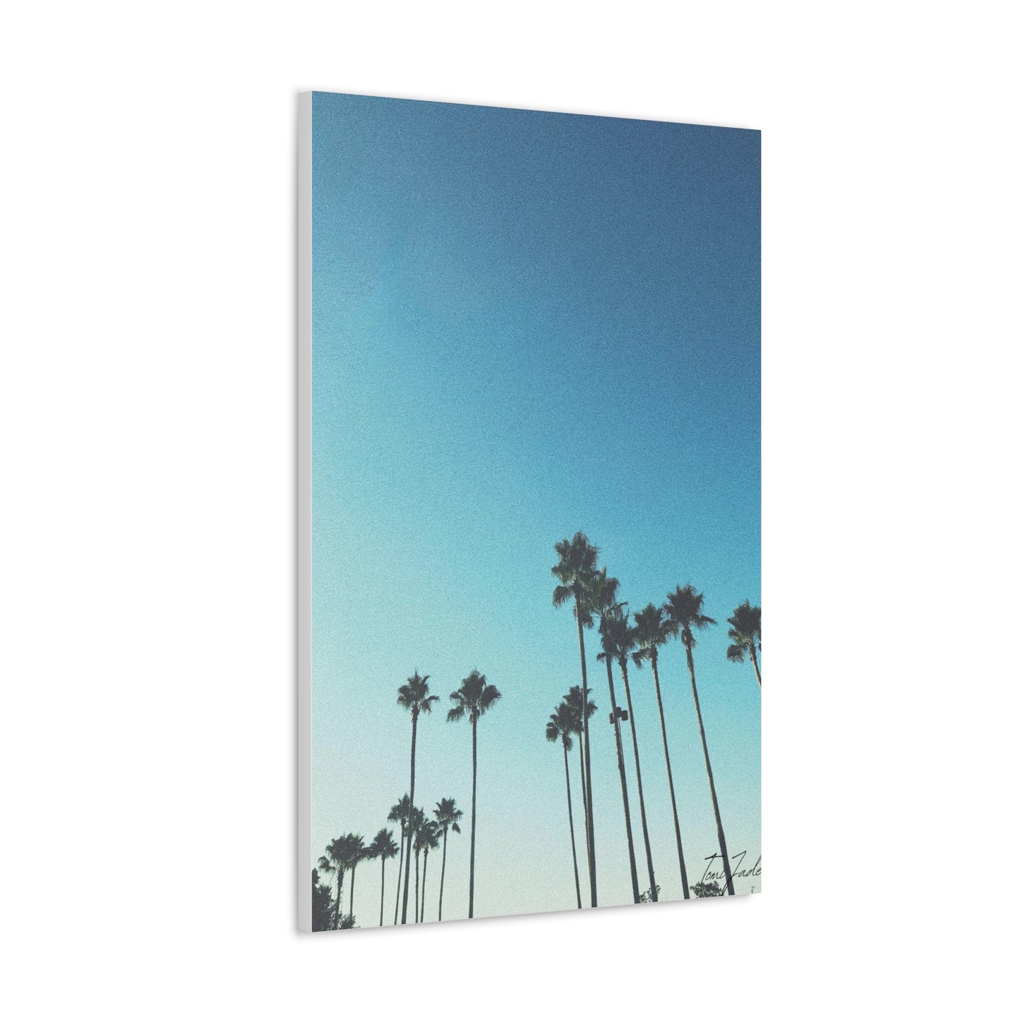 Palm Paradise - Canvas Gallery Wraps