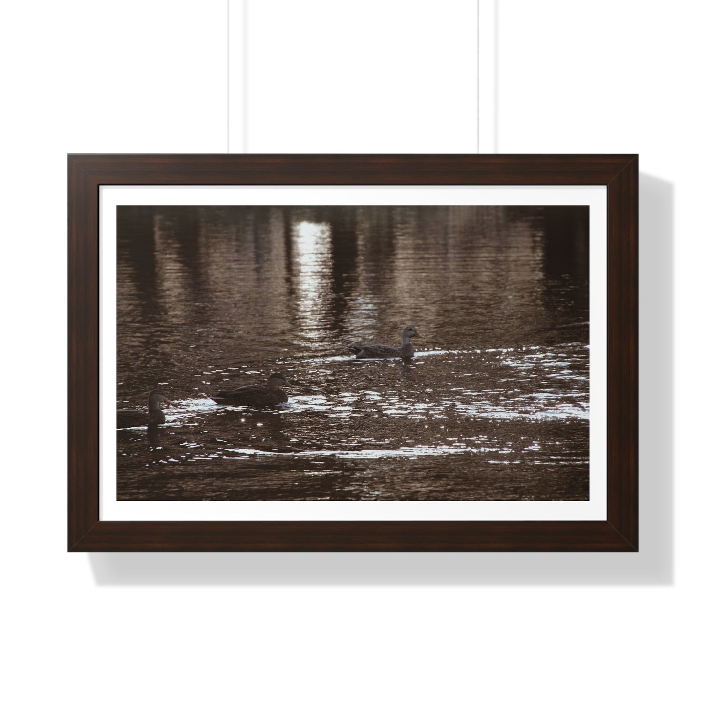 Ducks in a Pond - Framed Horizontal Poster