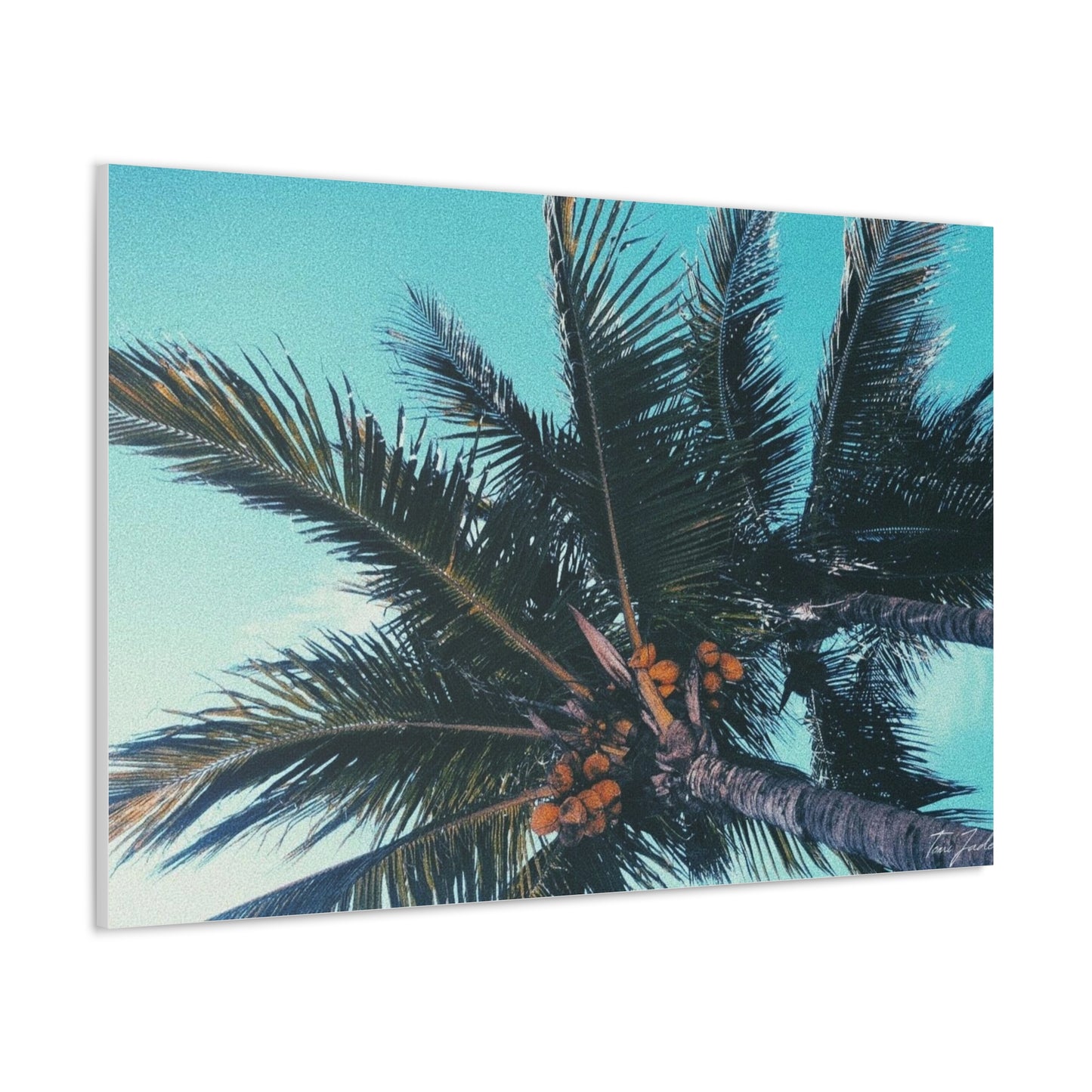 Tropic - Canvas Gallery Wraps