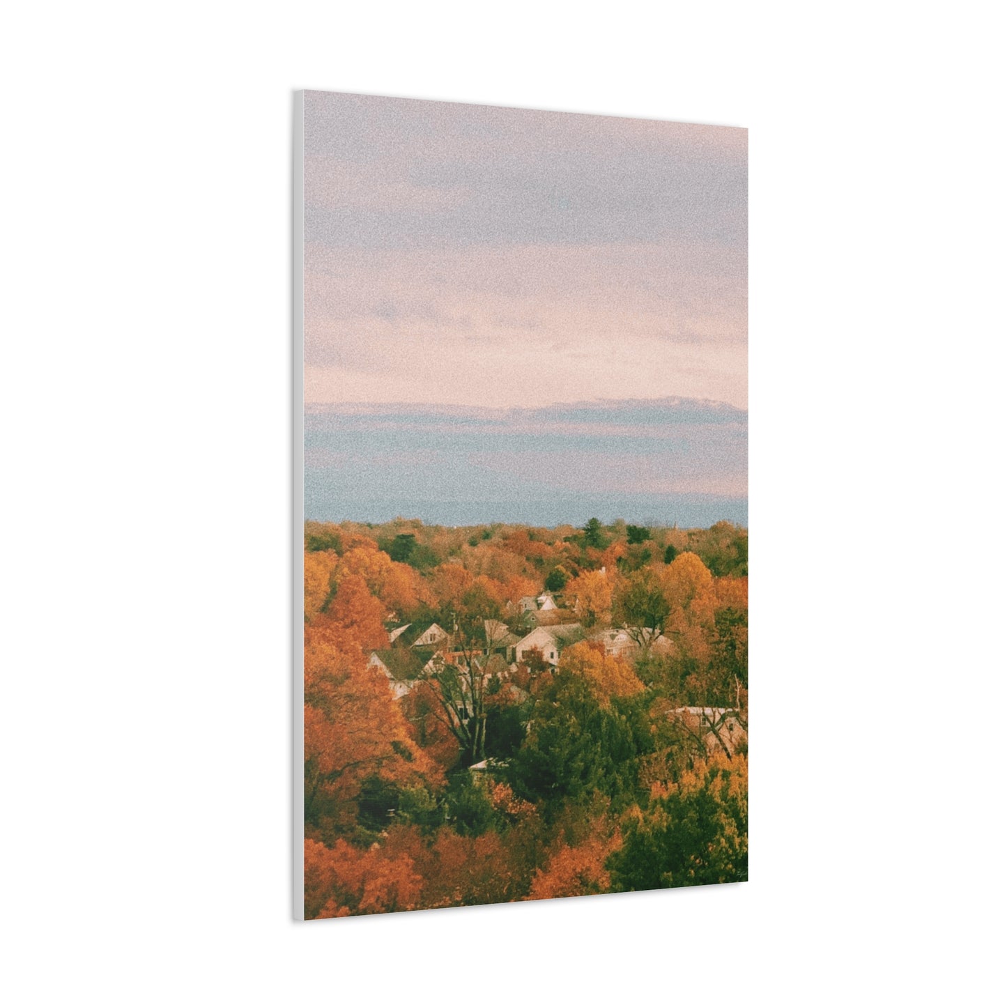 Maryland Neighborhood - Canvas Gallery Wraps