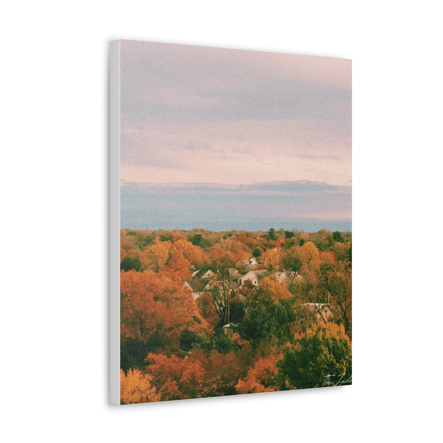 Maryland Neighborhood - Canvas Gallery Wraps
