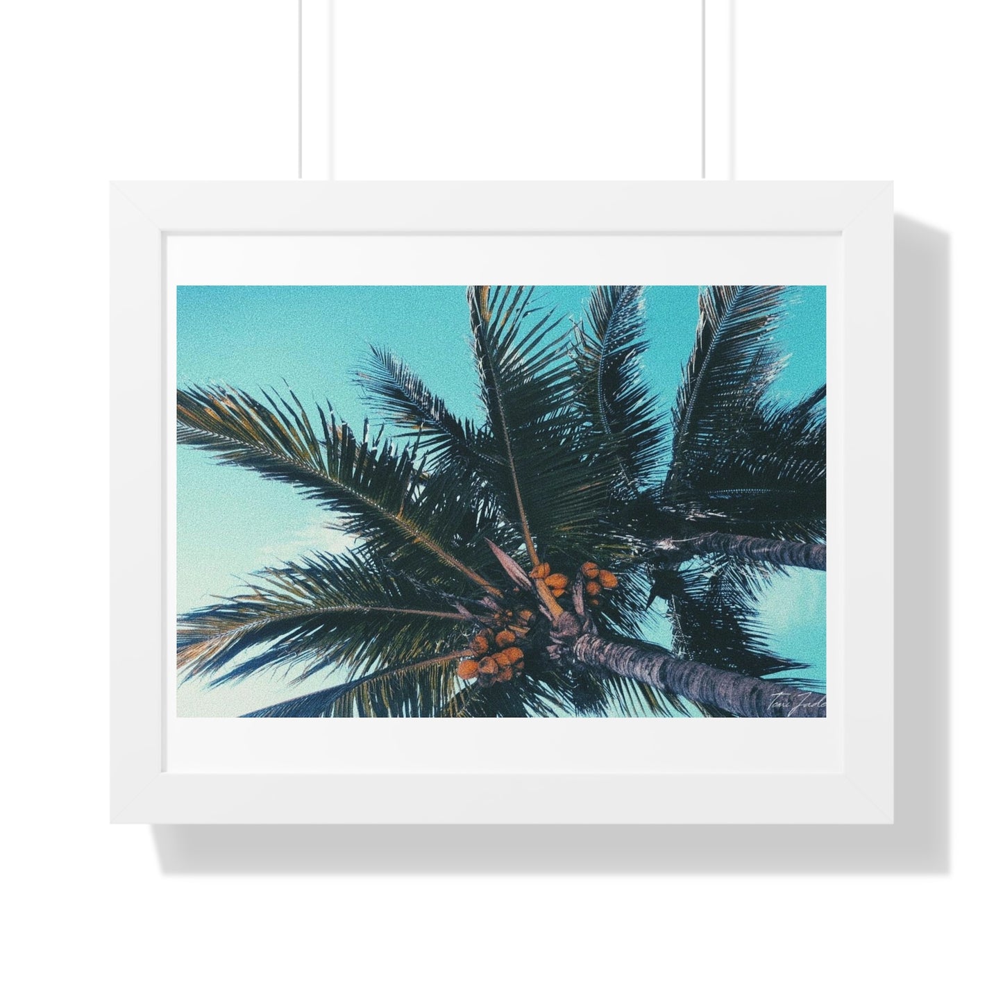 Tropic - Framed Horizontal Poster