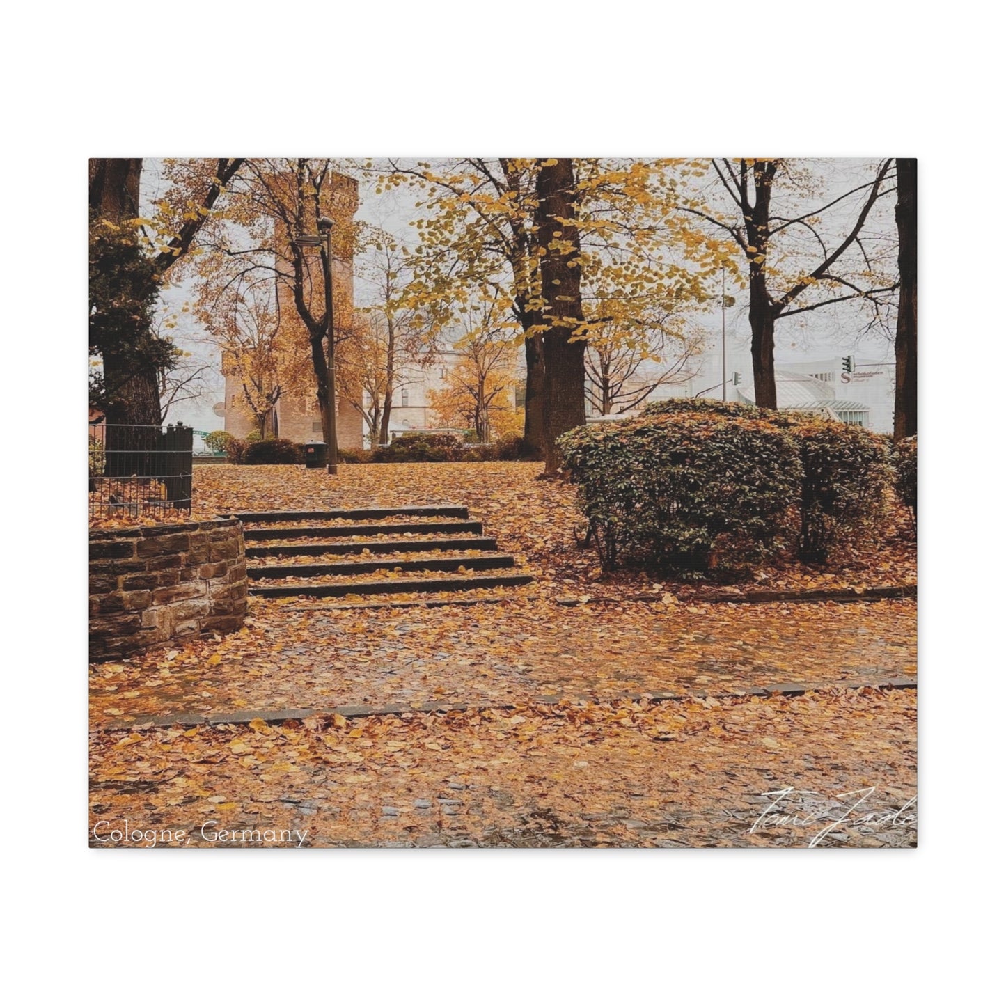 Fall in Germany-Canvas Gallery Wraps