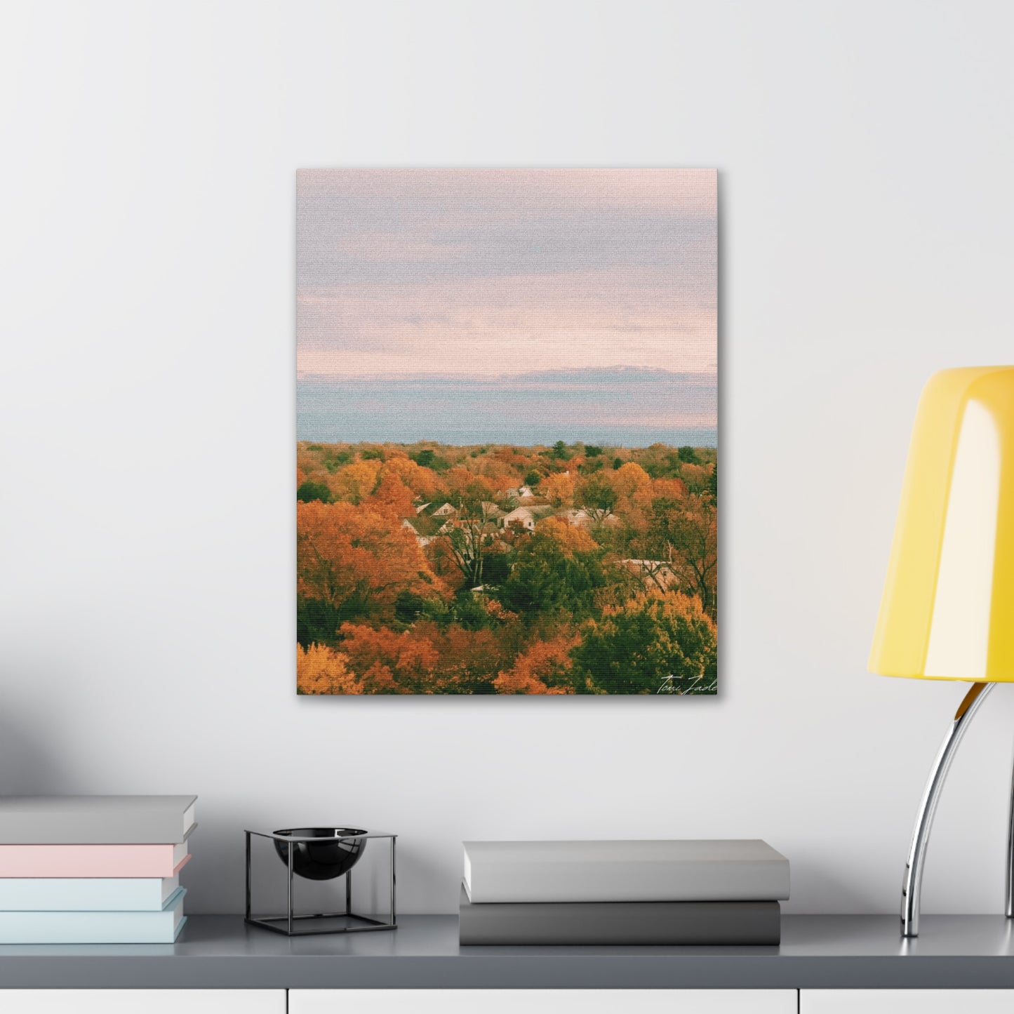 Maryland Neighborhood - Canvas Gallery Wraps