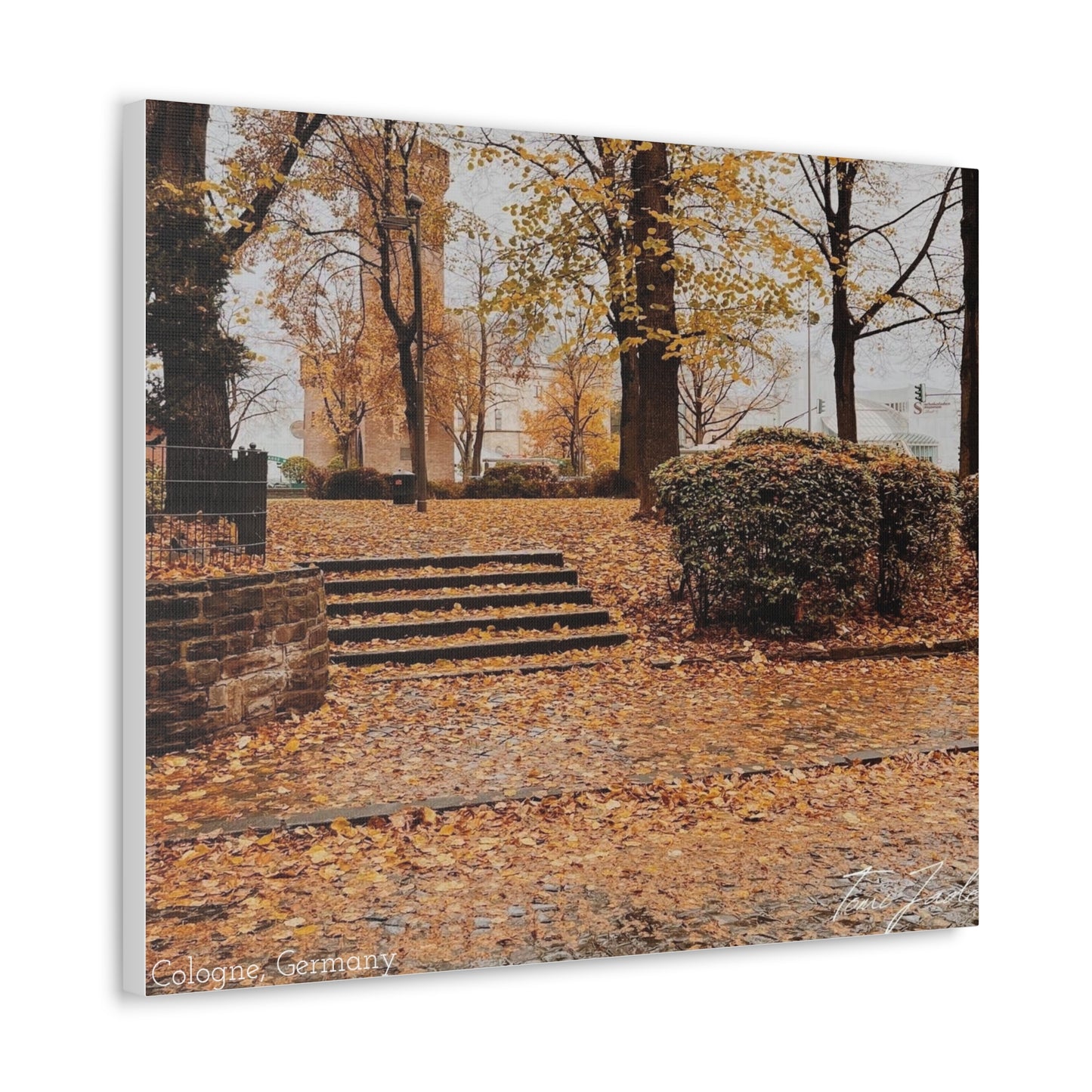 Fall in Germany-Canvas Gallery Wraps