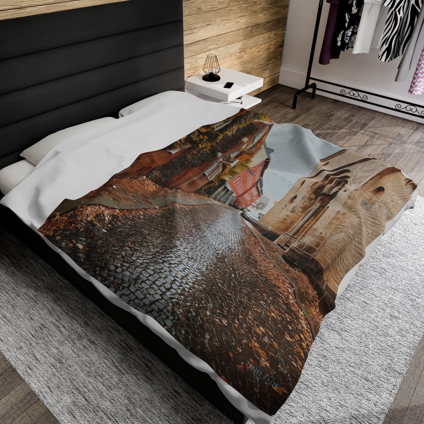 Diverse Buildings of Germany - Velveteen Plush Blanket