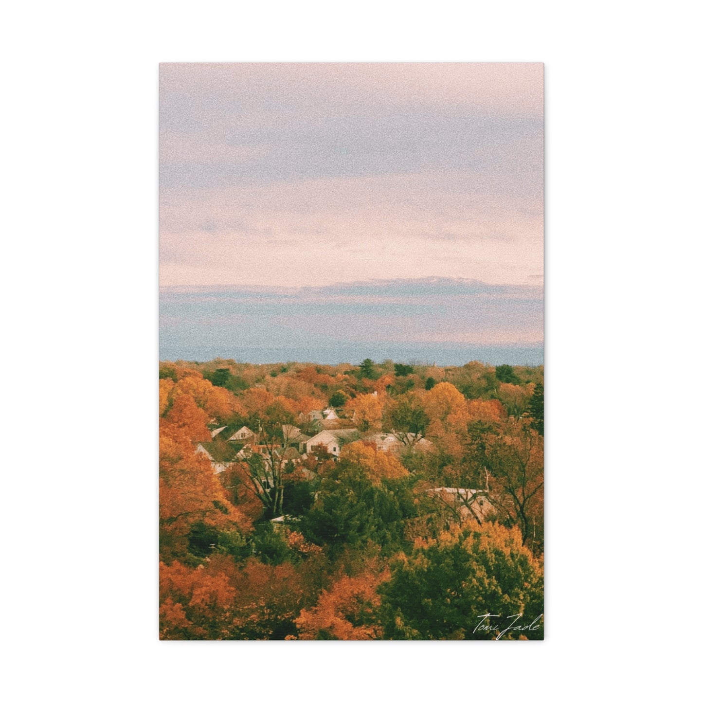 Maryland Neighborhood - Canvas Gallery Wraps