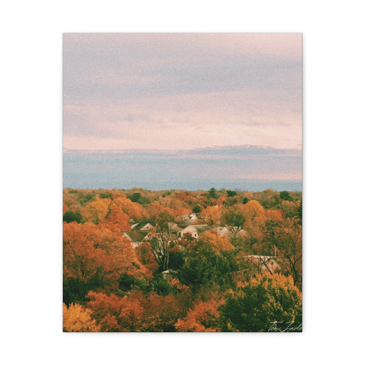 Maryland Neighborhood - Canvas Gallery Wraps