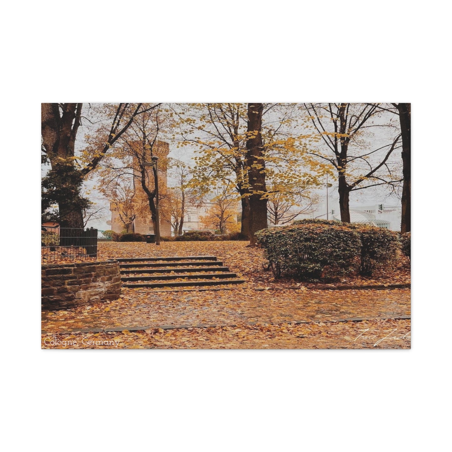 Fall in Germany-Canvas Gallery Wraps
