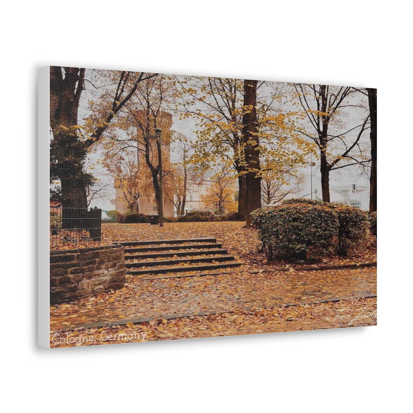 Fall in Germany-Canvas Gallery Wraps