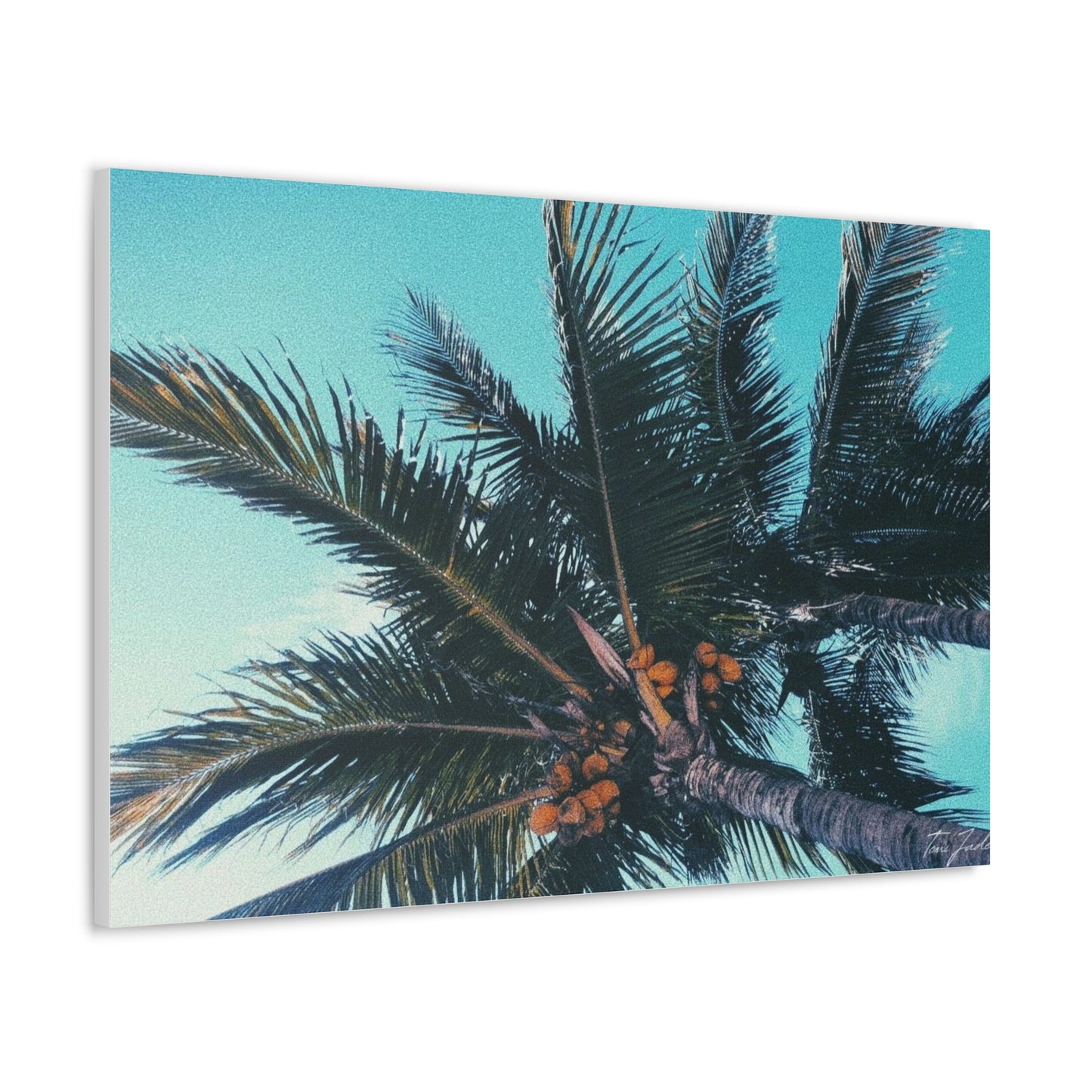 Tropic - Canvas Gallery Wraps