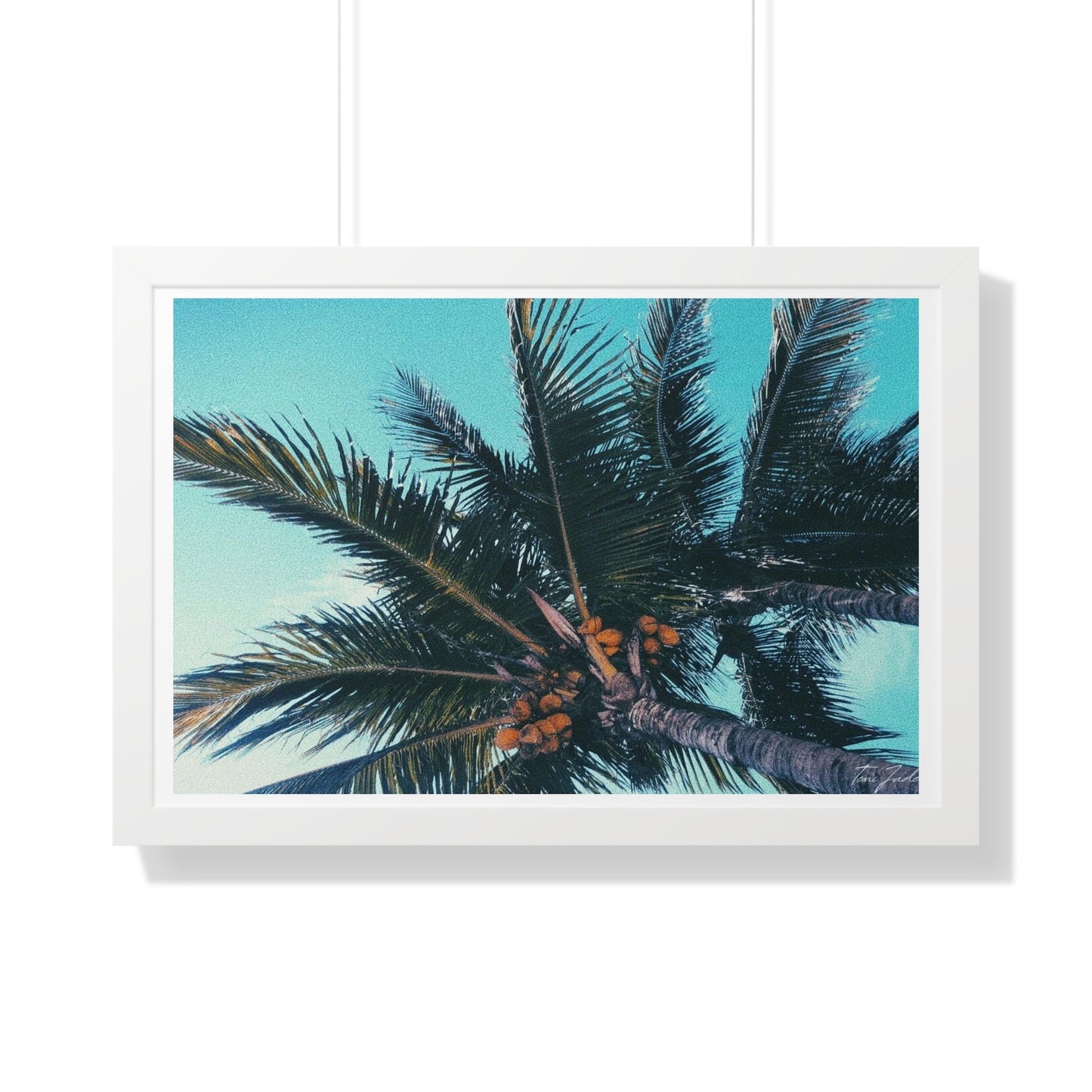 Tropic - Framed Horizontal Poster