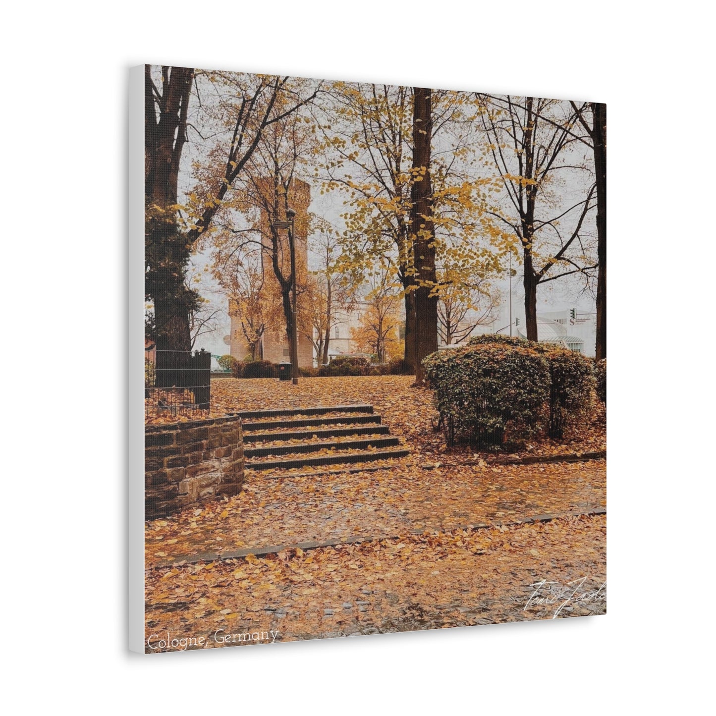 Fall in Germany-Canvas Gallery Wraps