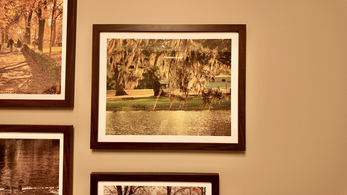 A Golden Park - Framed Horizontal Poster