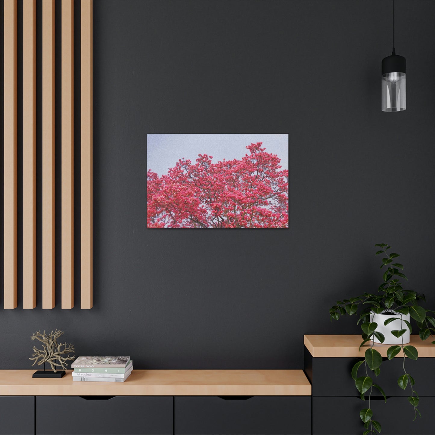 Blooming Pink - Canvas Gallery Wraps - TomiJadePhotos