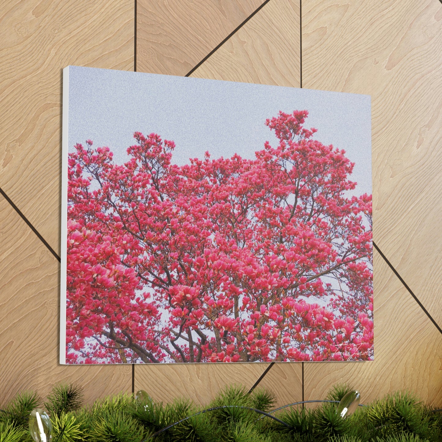 Blooming Pink - Canvas Gallery Wraps - TomiJadePhotos