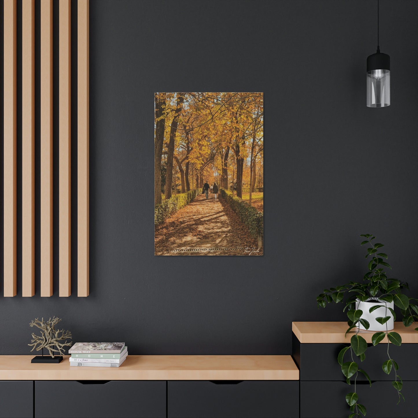 Autumn in Spain  - Canvas Gallery Wraps - TomiJadePhotos