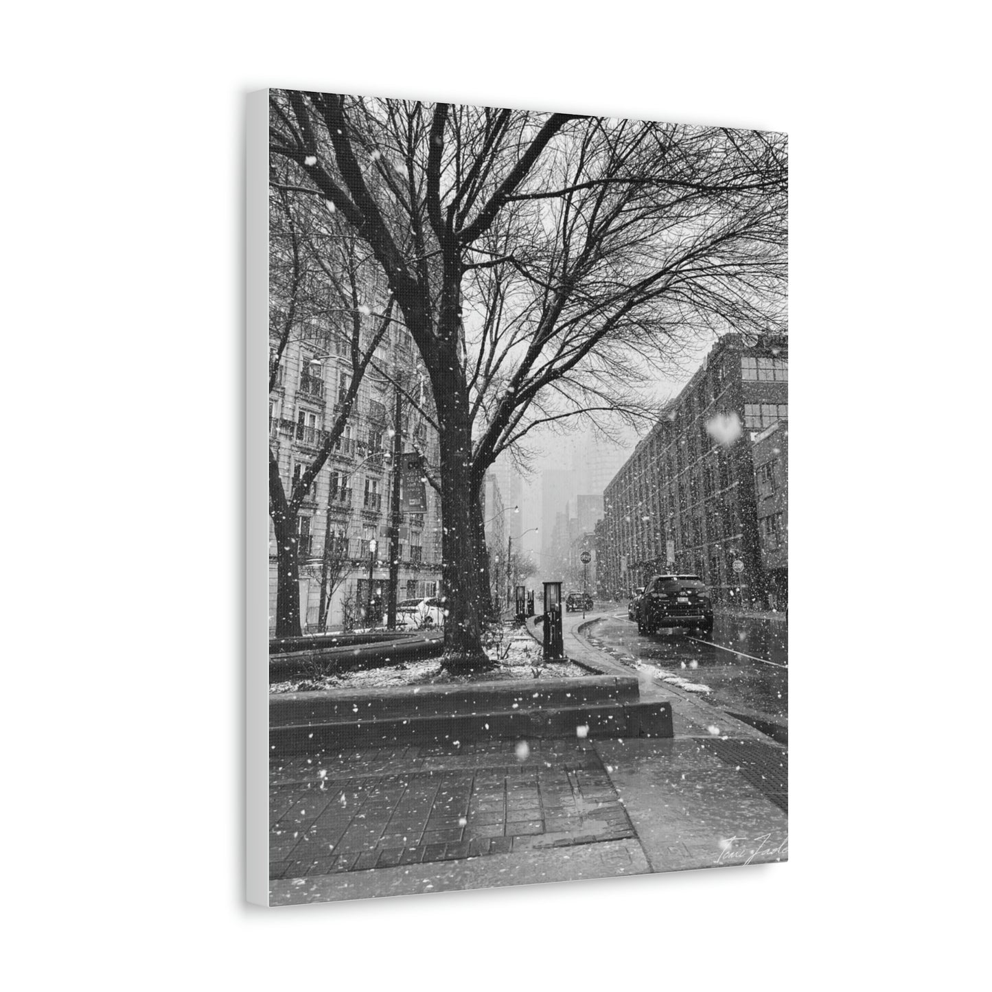 Snowfall Downtown - Canvas Gallery Wraps - TomiJadePhotos