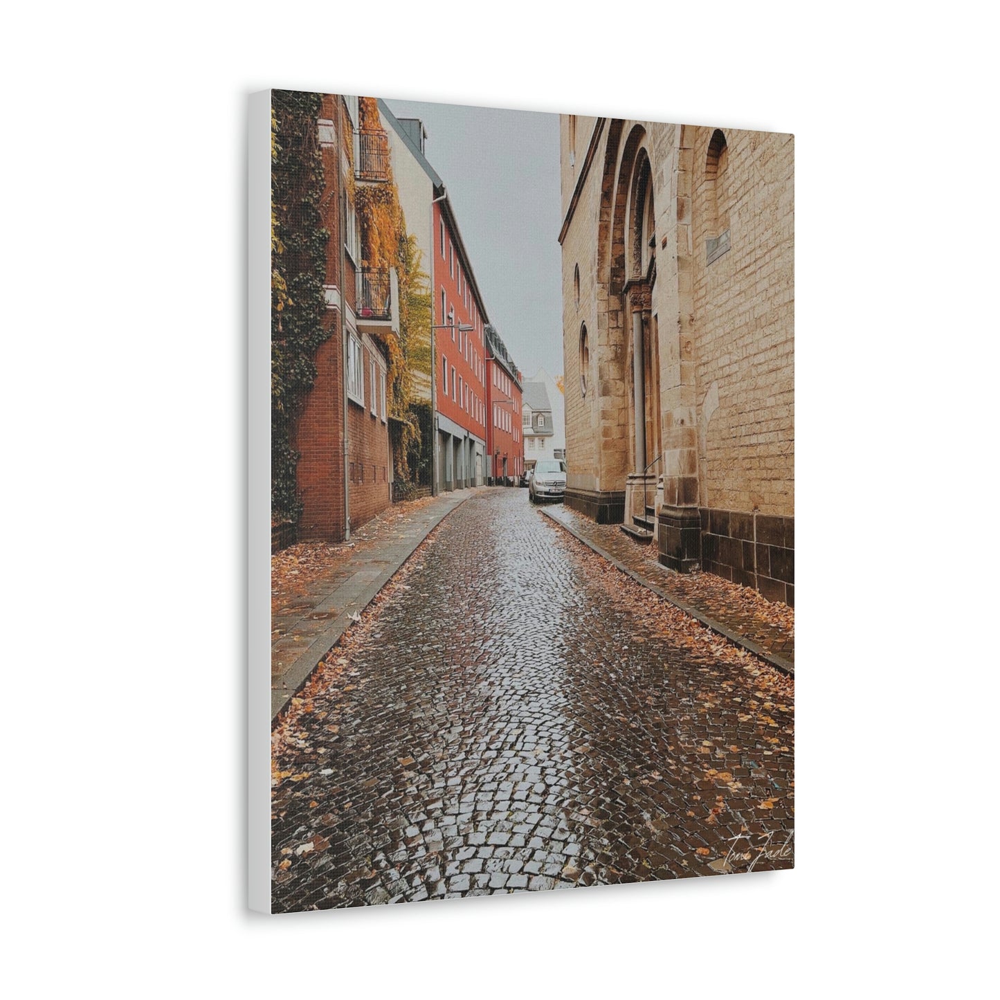 Diverse Buildings of Germany - Canvas Gallery Wraps - TomiJadePhotos