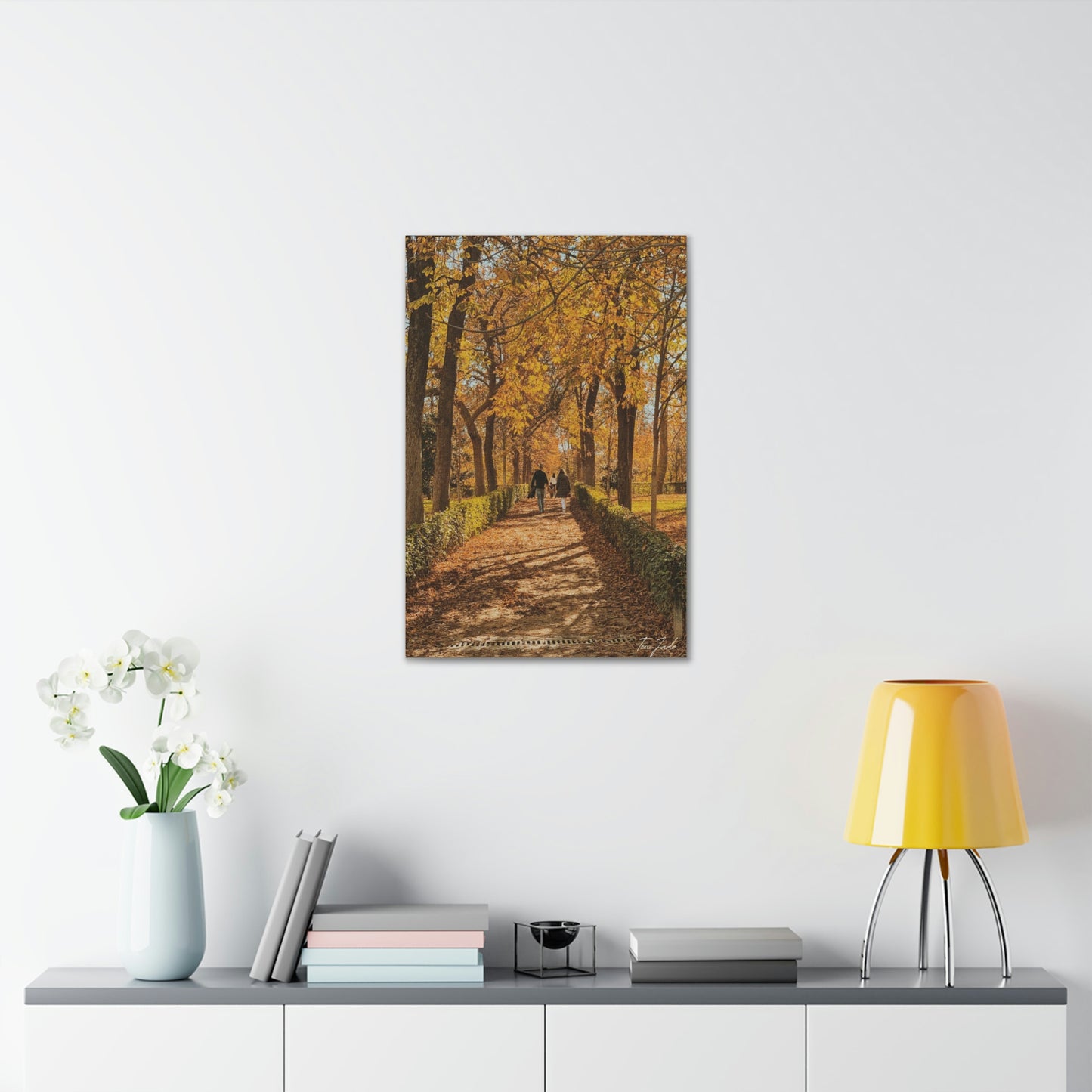 Autumn in Spain  - Canvas Gallery Wraps - TomiJadePhotos