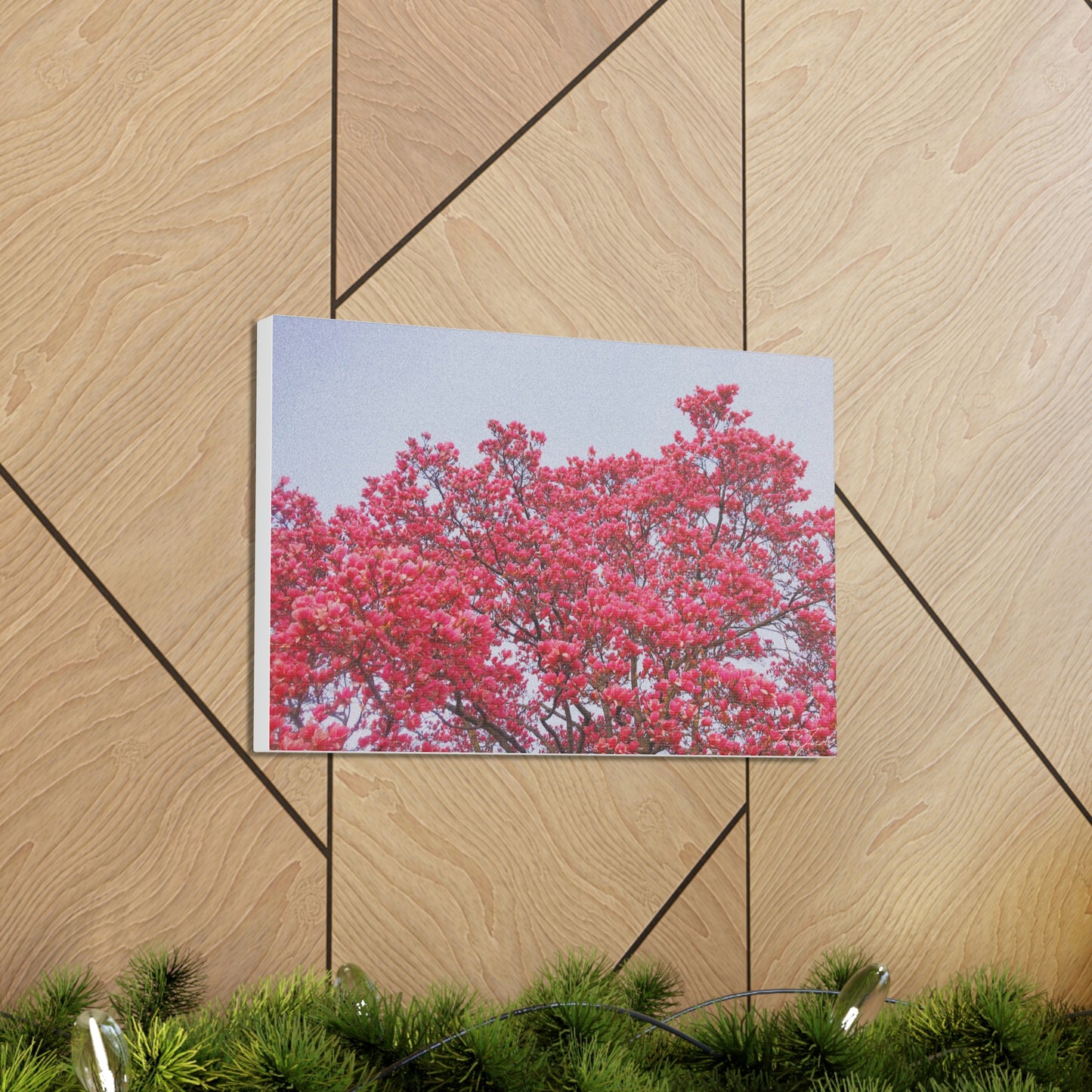 Blooming Pink - Canvas Gallery Wraps - TomiJadePhotos