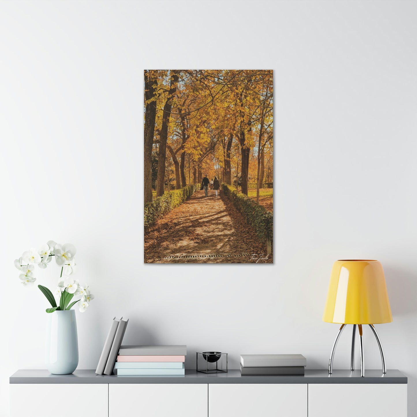 Autumn in Spain  - Canvas Gallery Wraps - TomiJadePhotos