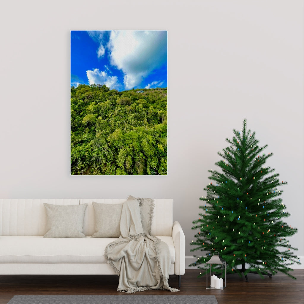 Nature At Its Layers-Canvas Gallery Wraps - TomiJadePhotos