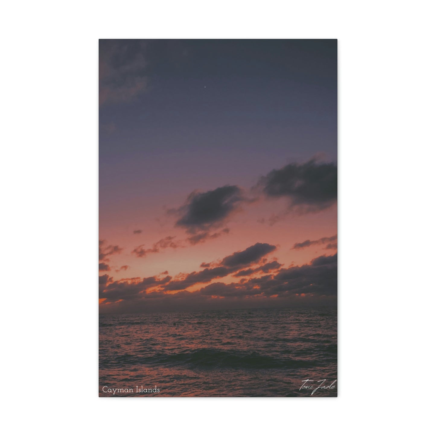 Night At The Beach - Canvas Gallery Wraps - TomiJadePhotos
