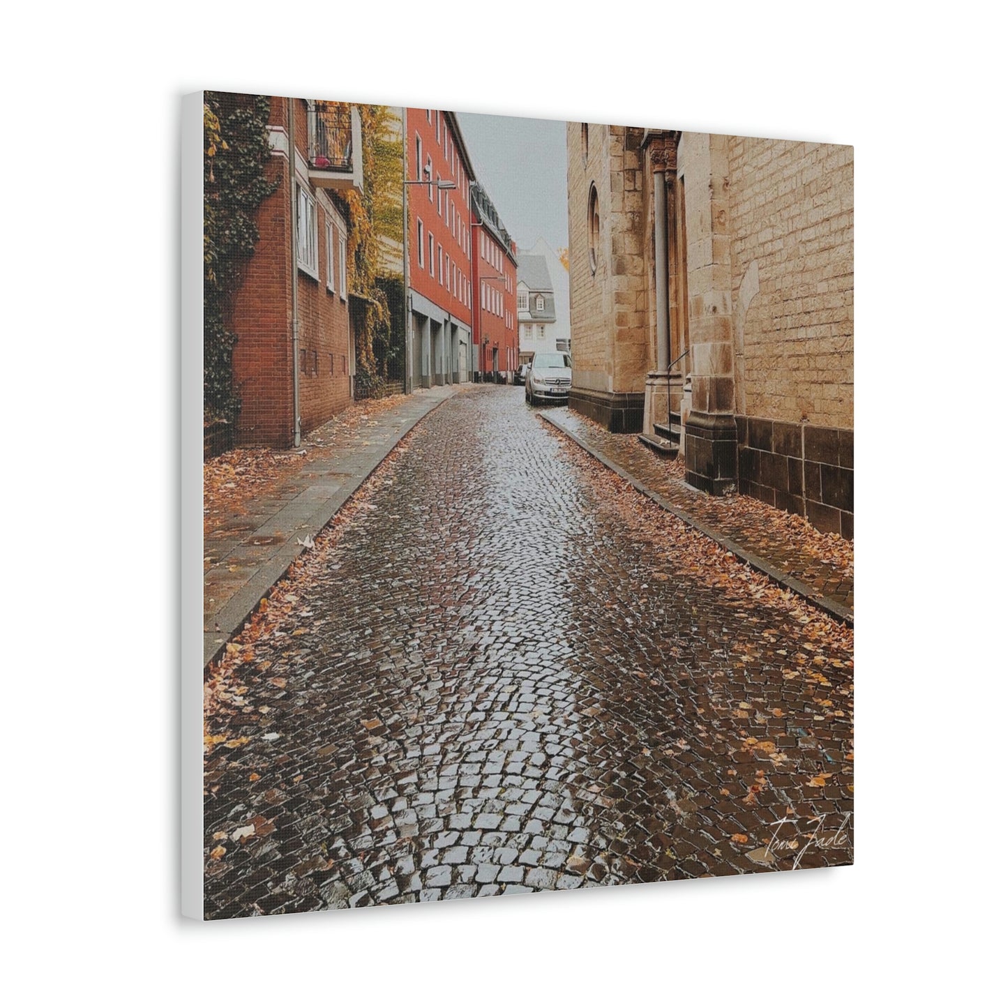 Diverse Buildings of Germany - Canvas Gallery Wraps - TomiJadePhotos