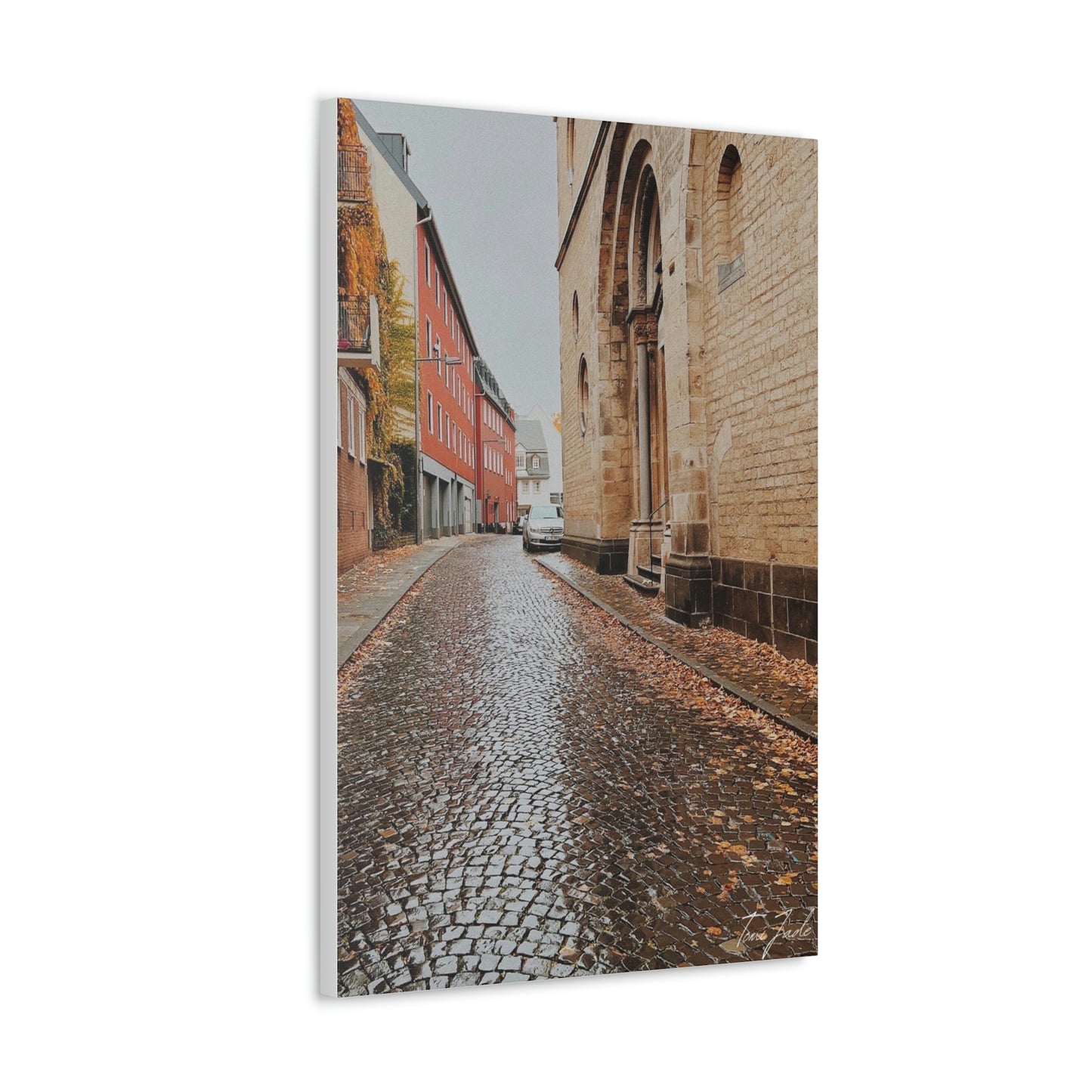 Diverse Buildings of Germany - Canvas Gallery Wraps - TomiJadePhotos